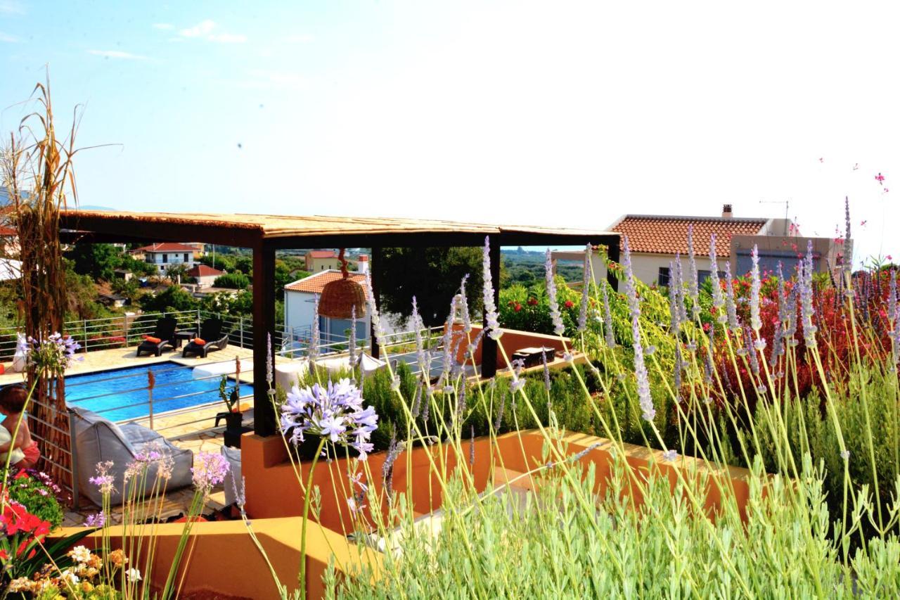 Villa Verde Villa *